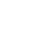 Bupa