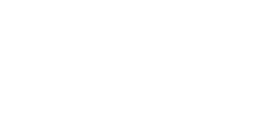 Camel Club