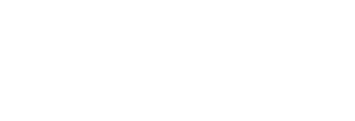 King Abdulaziz Camel Festival